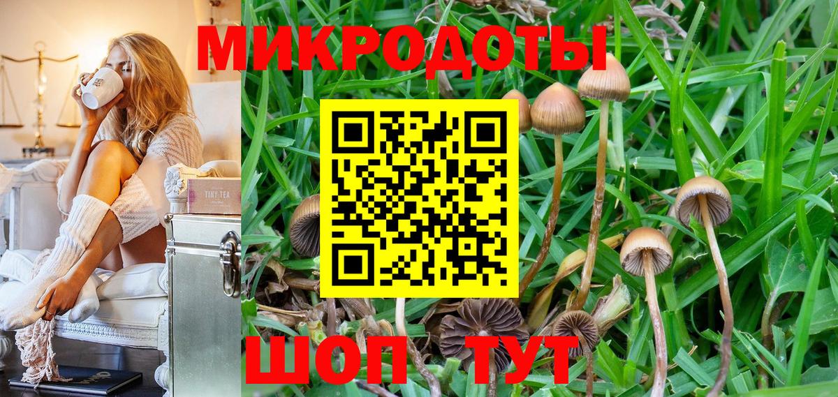 Псилоцибиновые грибы ЛСД  наркошоп  Энгельс  Галлюциногенные грибы Magic Shrooms  Вход с VPN 